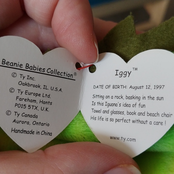 Ty Beanie Baby - Iggy - Picture 5 of 5